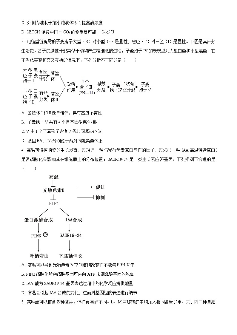 2024届四川省达州市普通高中高三下学期第二次诊断性考试理综试卷-高中生物（原卷版）第2页