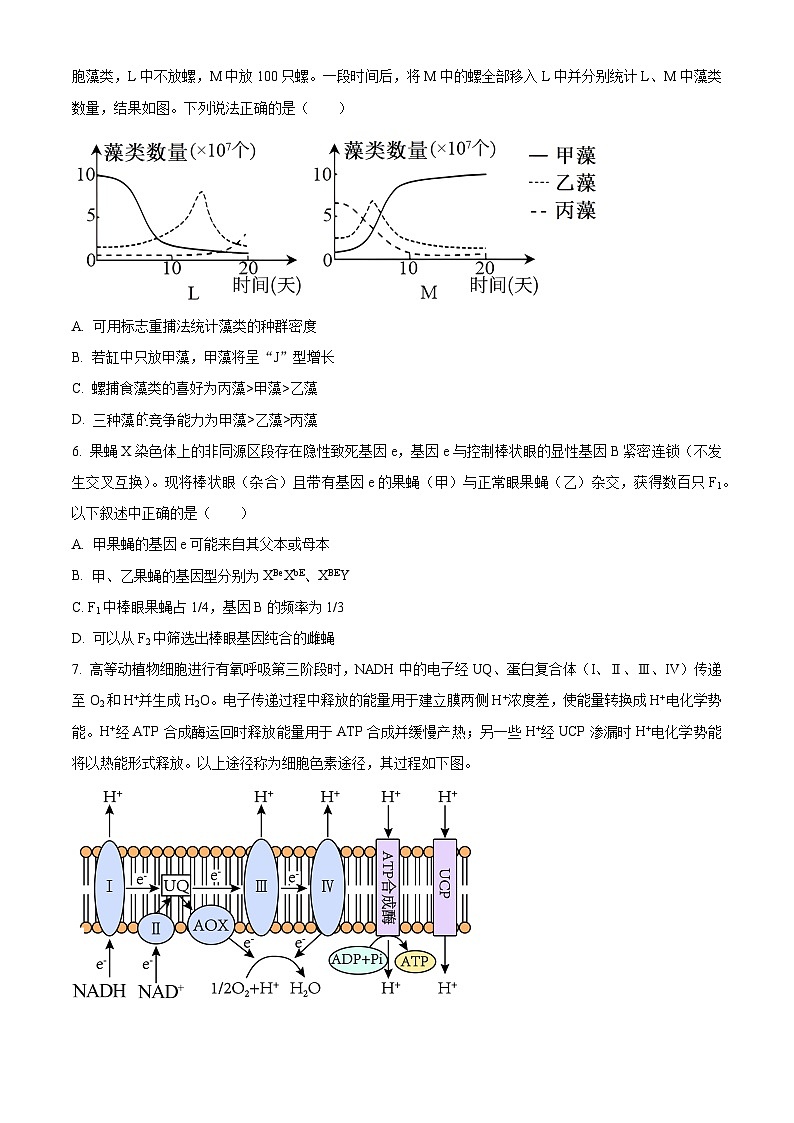 2024届四川省达州市普通高中高三下学期第二次诊断性考试理综试卷-高中生物（原卷版）第3页