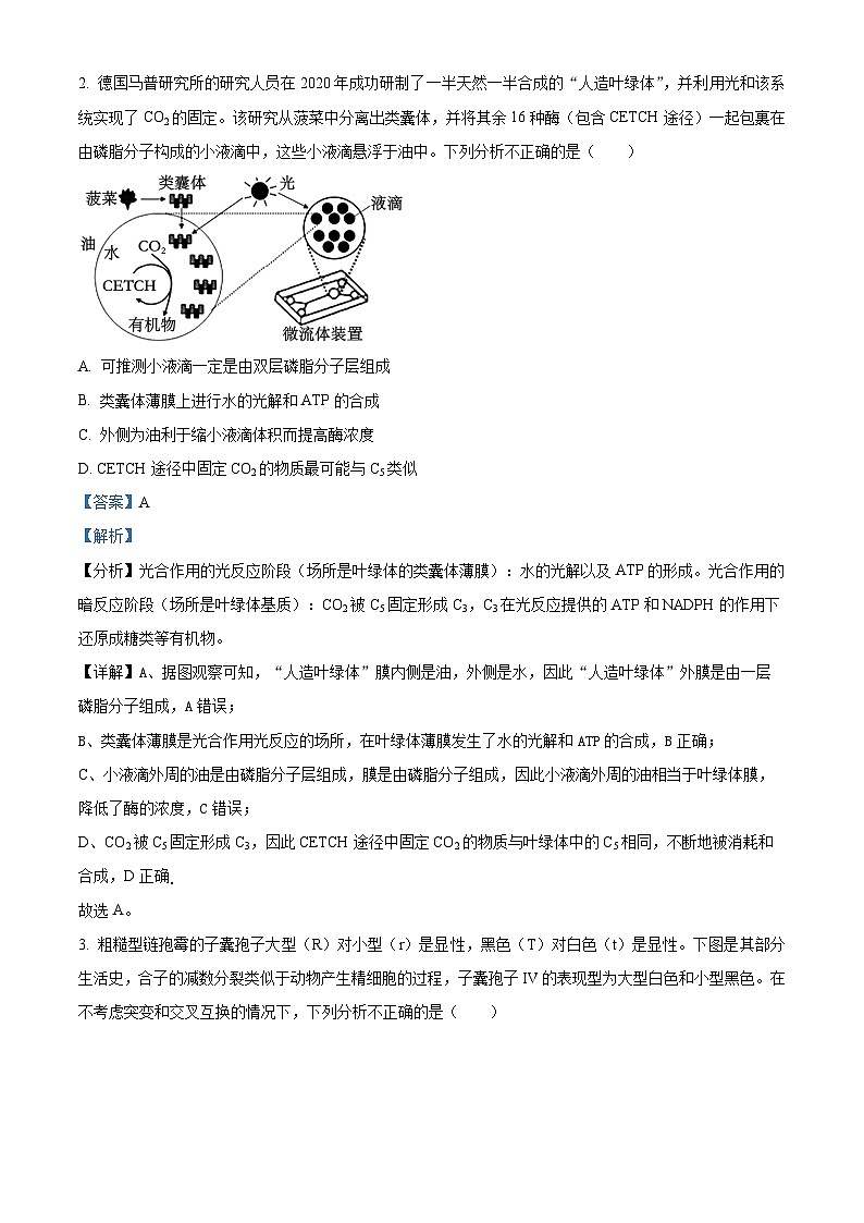 2024届四川省达州市普通高中高三下学期第二次诊断性考试理综试卷-高中生物（解析版）第2页