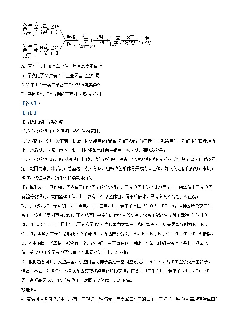 2024届四川省达州市普通高中高三下学期第二次诊断性考试理综试卷-高中生物（解析版）第3页