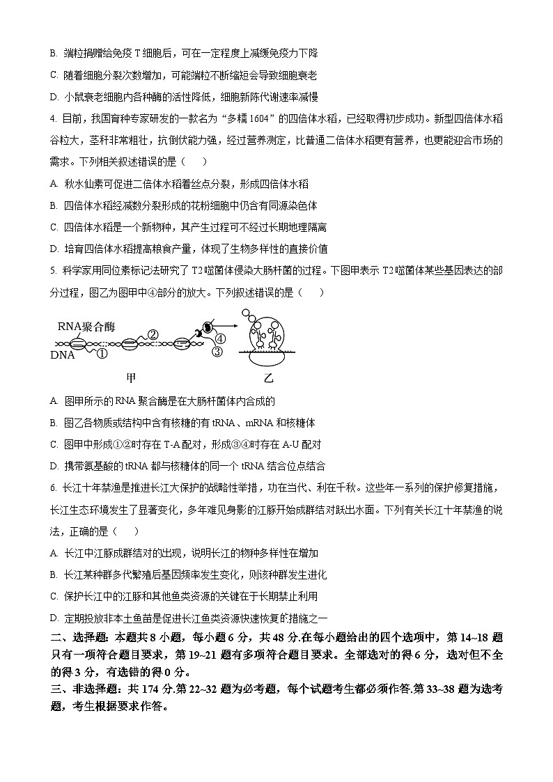 2024届四川省宜宾市高三下学期三模考试理科综合试卷-高中生物（原卷版+解析版）02