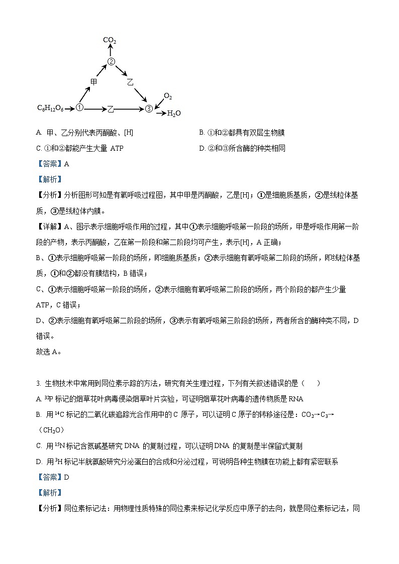 陕西省校 西安市长安区第一中学2023-2024学年高三下学期第五次模拟考试理综试题-高中生物（解析版）第2页