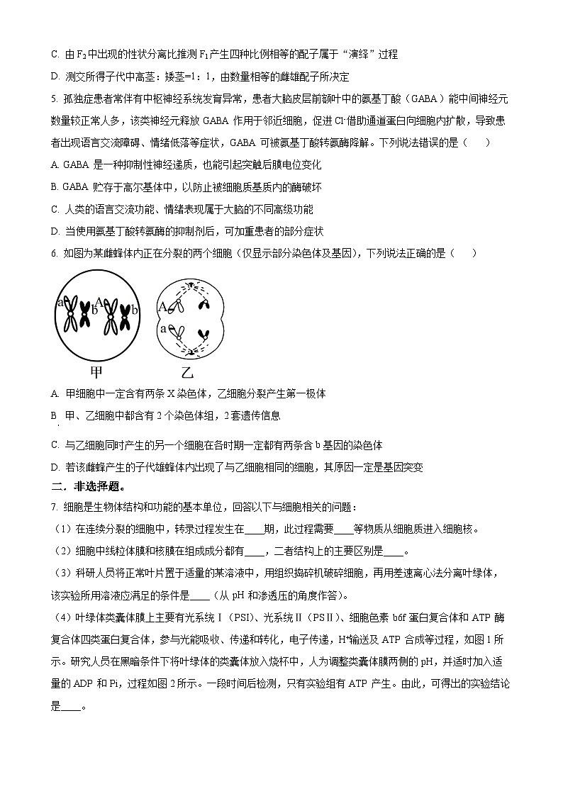 陕西省校 西安市长安区第一中学2023-2024学年高三下学期第五次模拟考试理综试题-高中生物（原卷版）第2页