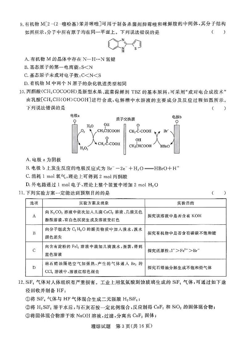 2024届河南省青桐鸣高三下学期大联考（5月）-理综试题（含答案）03