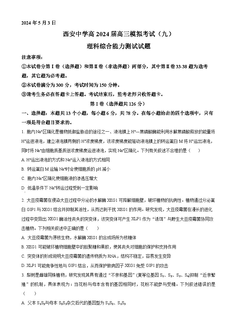 2024届陕西省西安中学高三下学期第九次模拟考试理综试题-高中生物（原卷版+解析版）01