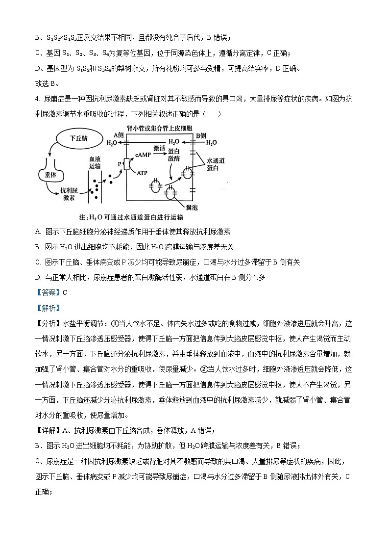 2024届陕西省西安中学高三下学期第九次模拟考试理综试题-高中生物（原卷版+解析版）03