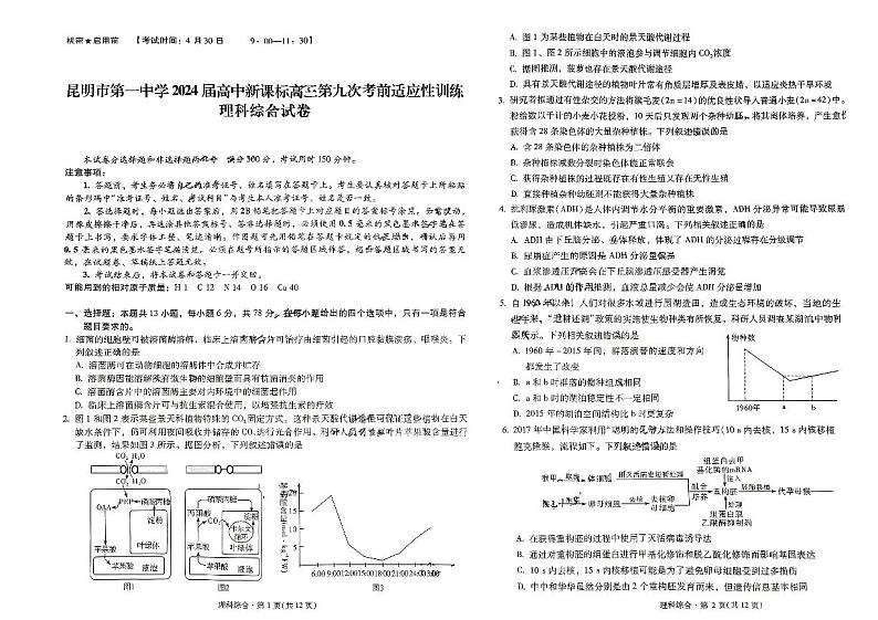 2024届云南省昆明市第一中学高三下学期第九次适应性训练理综试卷01
