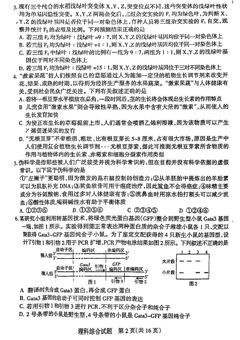 2024届山西省阳泉市高三下学期第三次模拟测试理科综合试题02