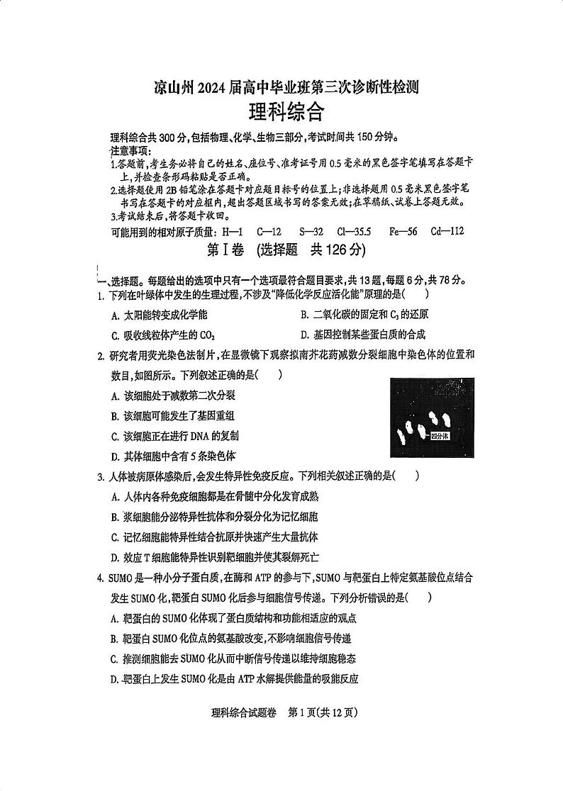 四川省凉山州2024届高中毕业班高三年级第三次诊断性检测(凉山三诊)理科综合试卷第1页