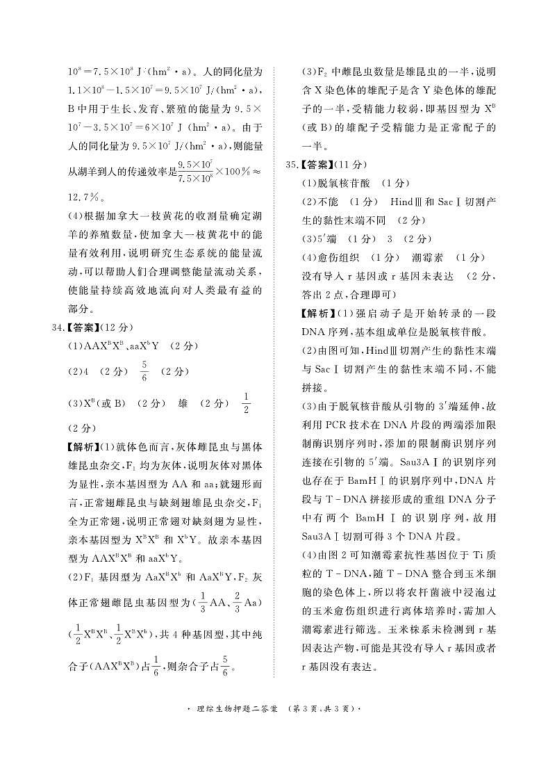 参考答案第3页