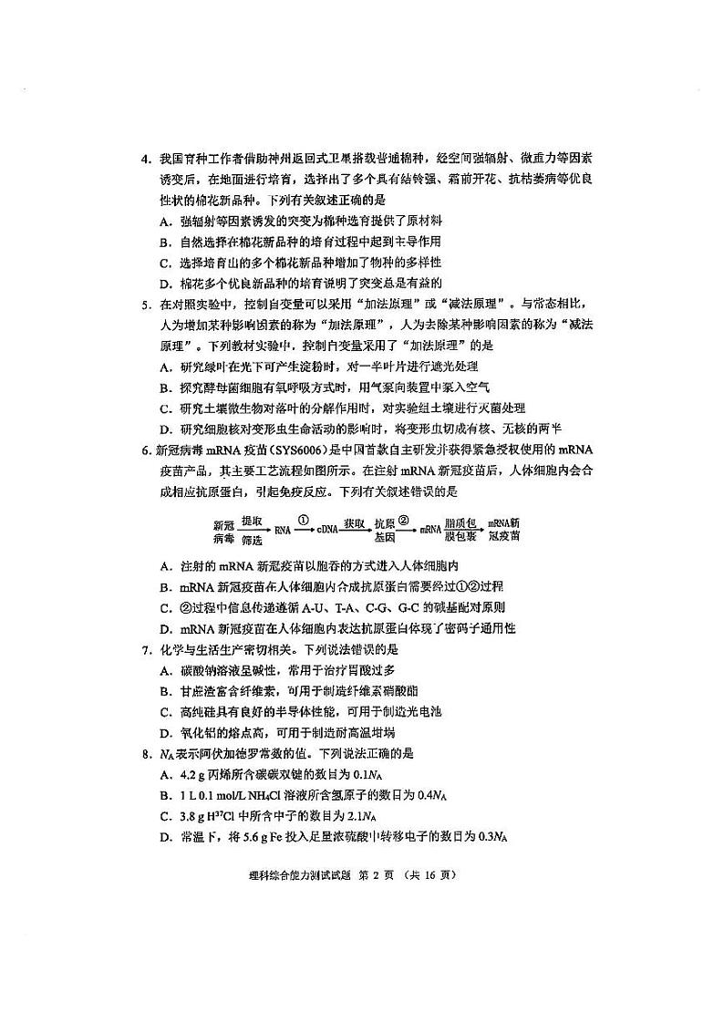 【全国甲卷】四川省大数据精准教学联盟2021级(2024届)高三年级第二次统一监测(大数据二统)(5.17-5.18)                   理科综合试题能力测试试题第2页
