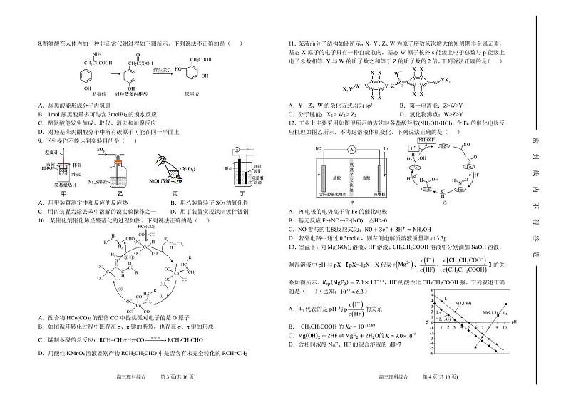 2024太原五中高三下学期一模试题理综PDF版含答案（可编辑）02