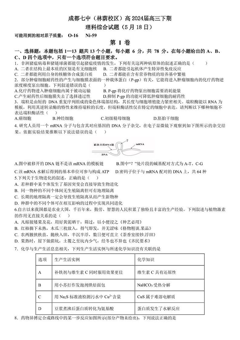 2024届成都七中高三5月模拟考试理综试题+答案第1页
