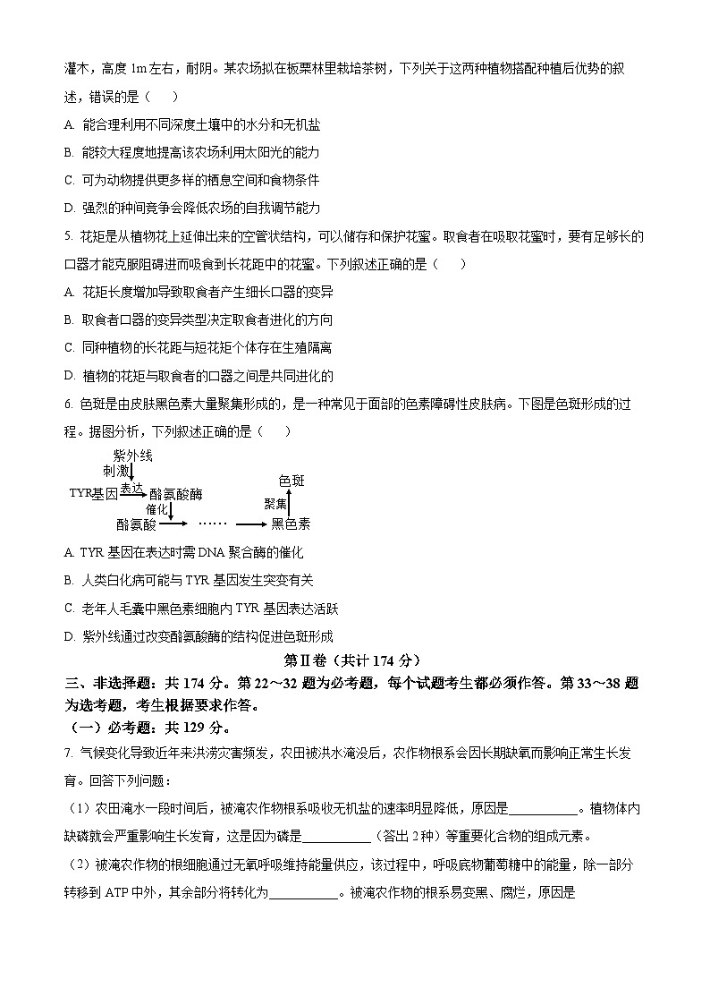 2024届四川省眉山市高三下学期第三次诊断考试理科综合试题 -高中生物（原卷版）第2页