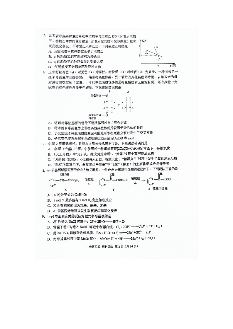 2024届高三5月大联考（全国乙卷）理综第2页