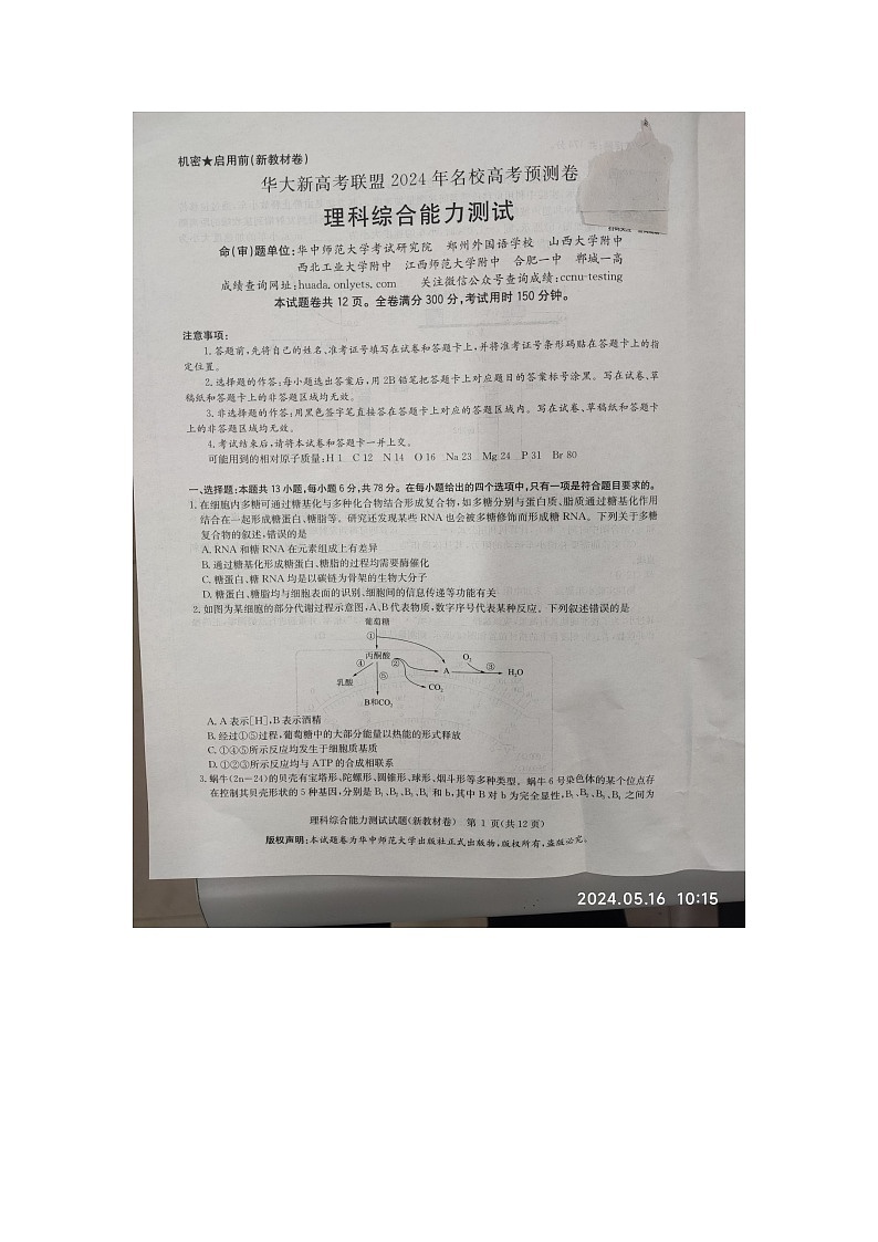 2024届华大新高考联盟名校高考预测卷理综试题第1页