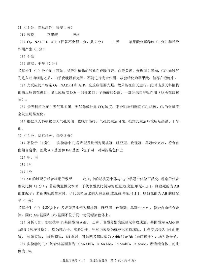 2024届百师联盟高三4月二轮复习联考理科综合试卷(新高考)生物答案第2页