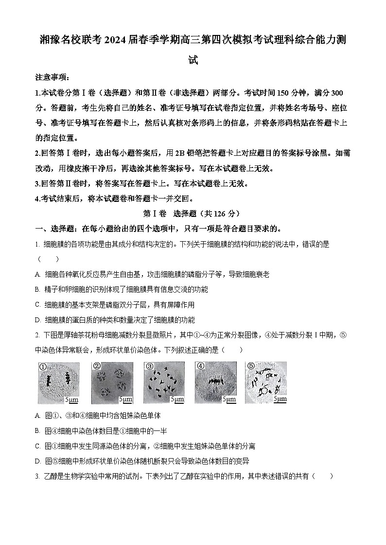 2024届湘豫名校联考高三下学期第四次模拟考试理综试卷-高中生物（原卷版+解析版）01