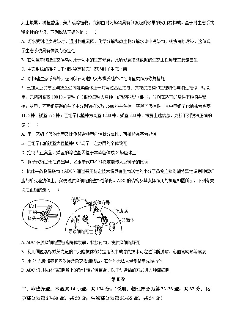 2024届山西省太原市第五中学高三下学期一模理综试题-高中生物（原卷版）第2页