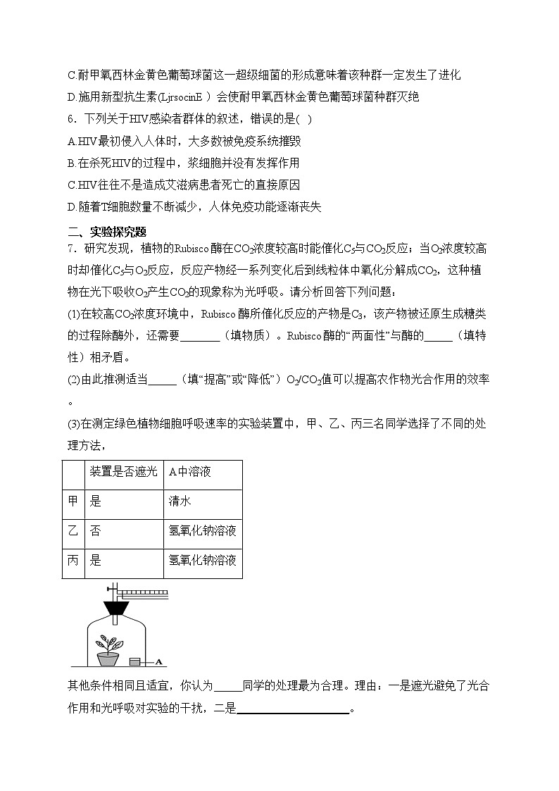 宁夏中卫市2024届高三下学期一模理综生物试卷(含答案)第2页
