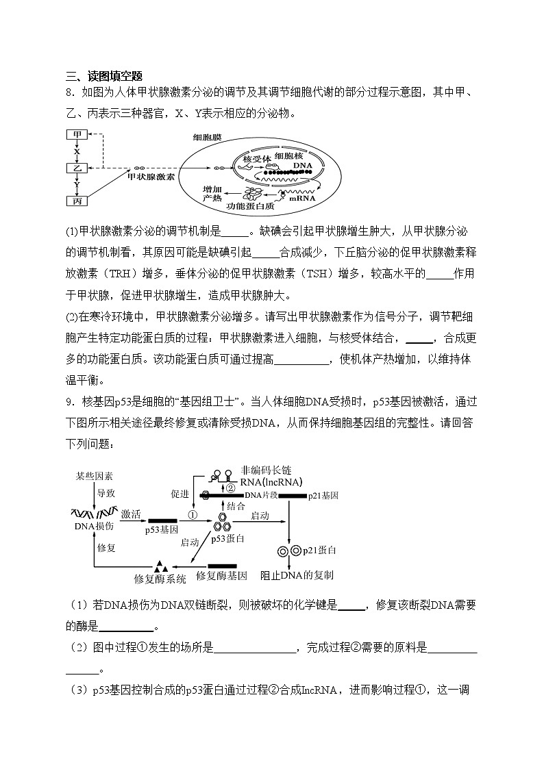 宁夏中卫市2024届高三下学期一模理综生物试卷(含答案)第3页
