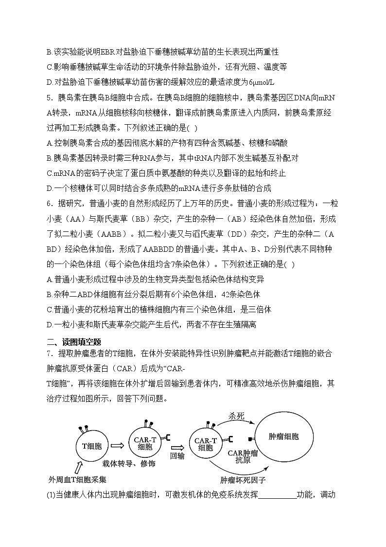 四川省宜宾市2024届高三下期第二次诊断性考试理科综合生物试卷(含答案)02