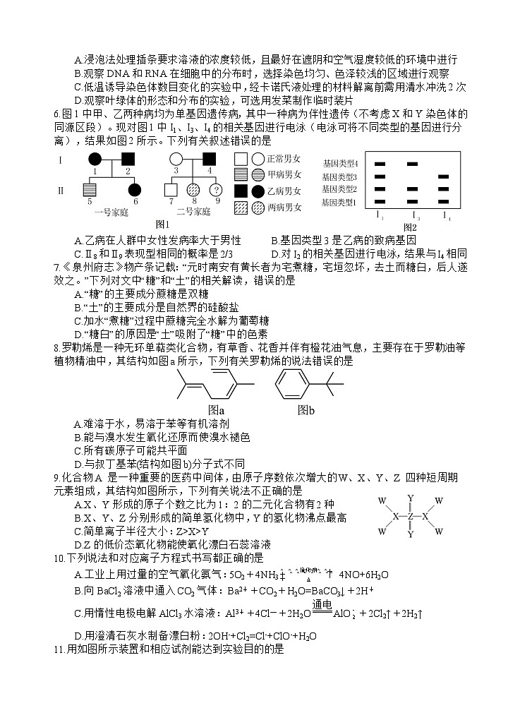 2024届四川省射洪中学校高三下学期三模理综试题02