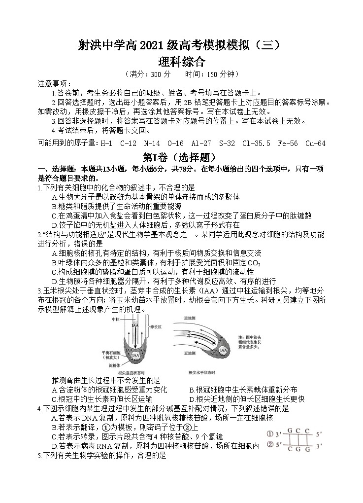 2024遂宁射洪中学高三下学期5月三模试题理综含答案01