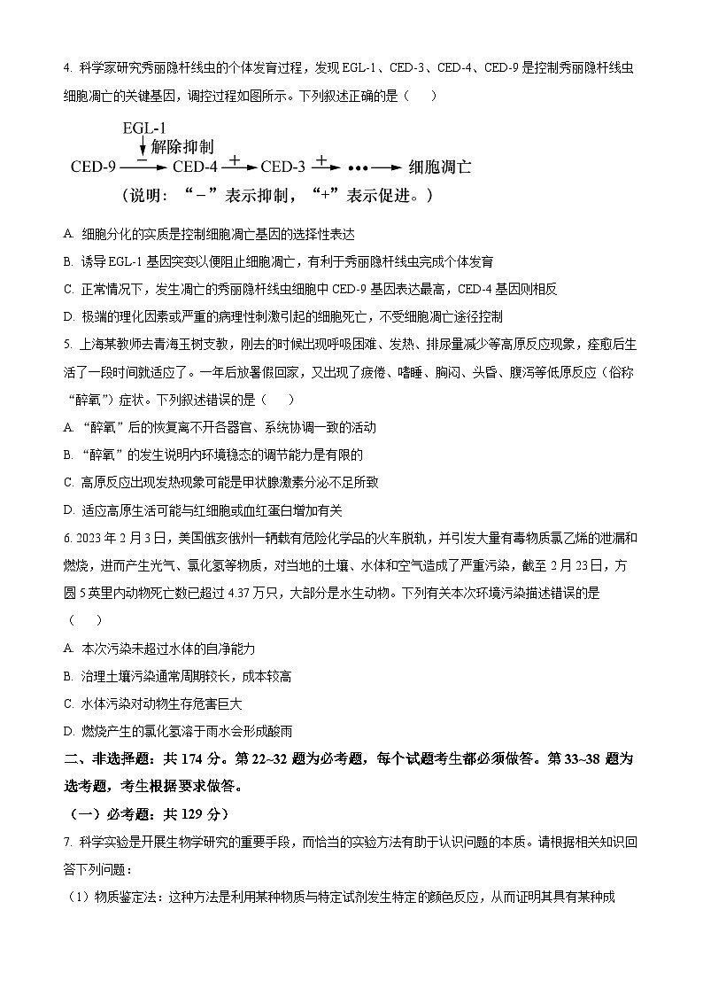 2024届青海省西宁市高三下学期二模理科综合试卷-高中生物（原卷版）第2页