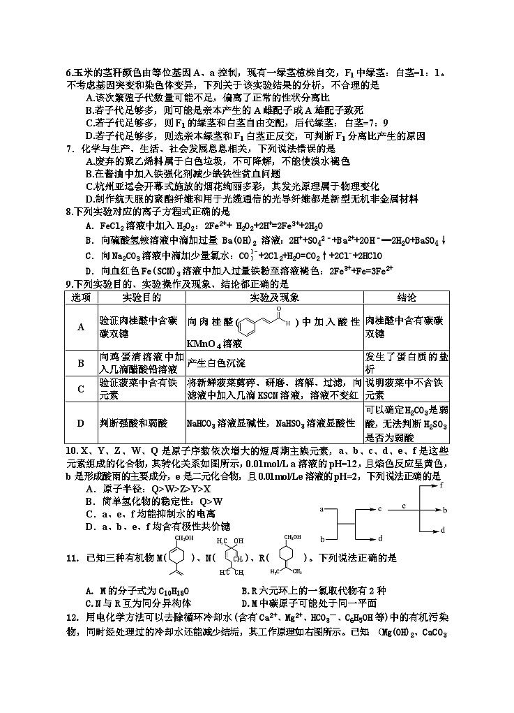 2024四川省射洪市高三下学期5月高考模拟试题理综含解析02