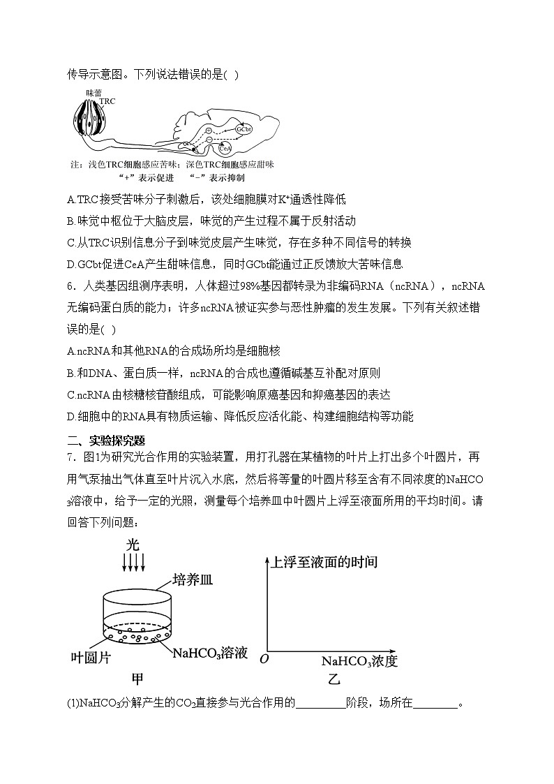 四川省南充市2024届高三下学期适应性考试（二诊）理综生物试卷(含答案)02
