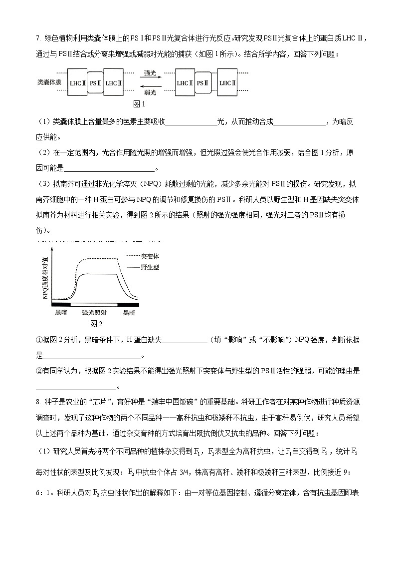 2024届河南省名校联盟高三考前模拟大联考(三模)理综试题-高中生物（原卷版+解析版）03