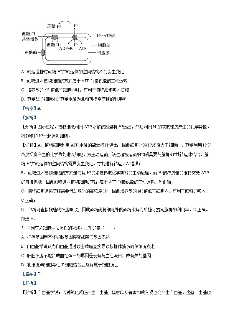 2024届云南省昭通市正道中学高三下学期考前押题理科综合试卷-高中生物（学生版+教师版 ）02