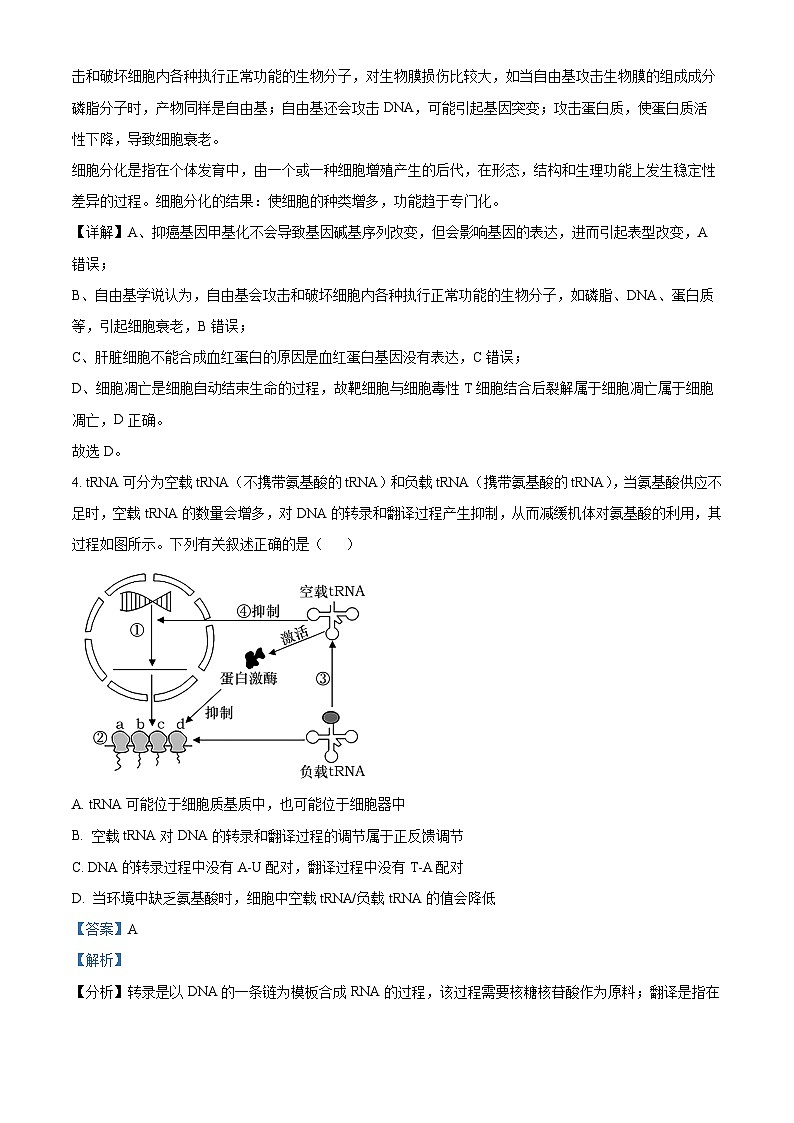 2024届云南省昭通市正道中学高三下学期考前押题理科综合试卷-高中生物（学生版+教师版 ）03