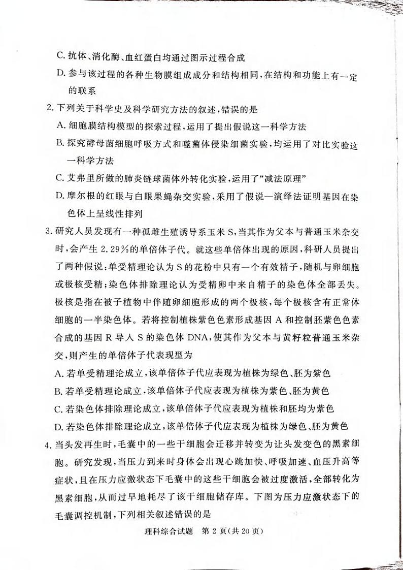 理综丨湘豫名校2024届高考考前保温卷理综试卷及答案第2页