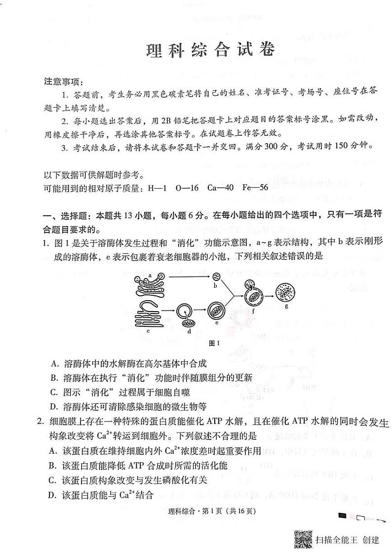 理综丨云南师范大学附属中学2024届高三5月高考适应性考试（十）理综试卷及答案01