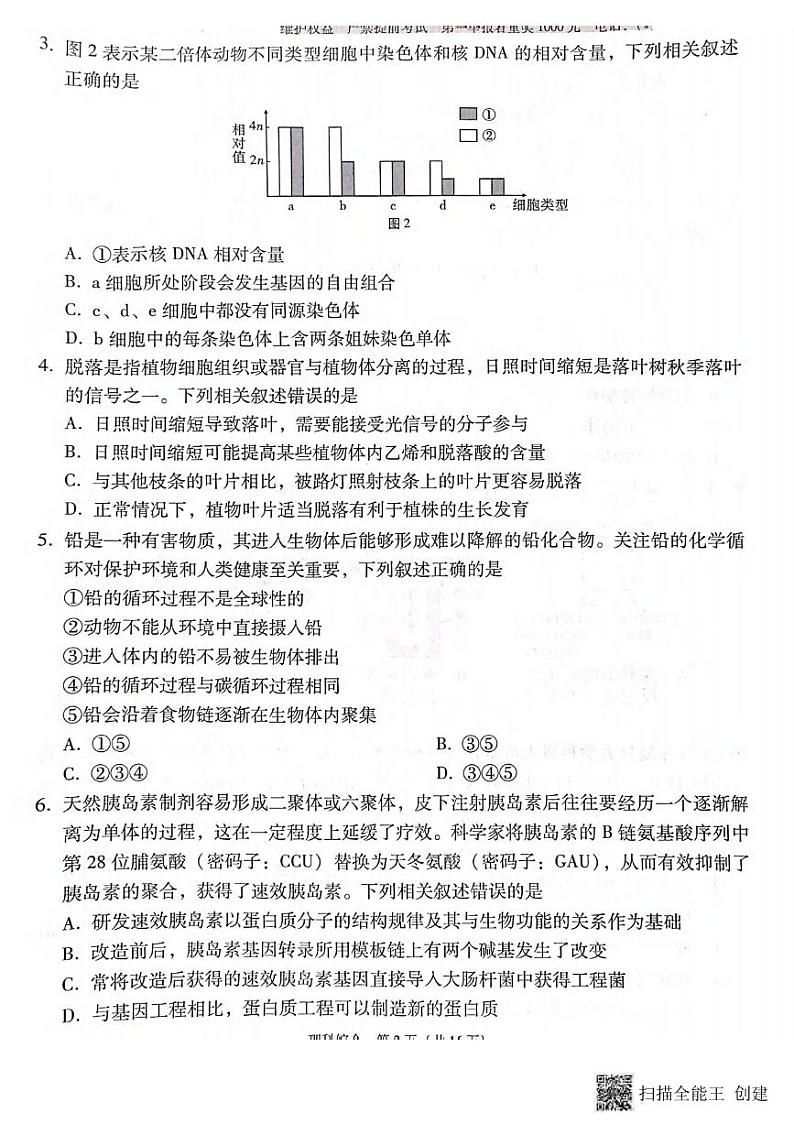 理综丨云南师范大学附属中学2024届高三5月高考适应性考试（十）理综试卷及答案02