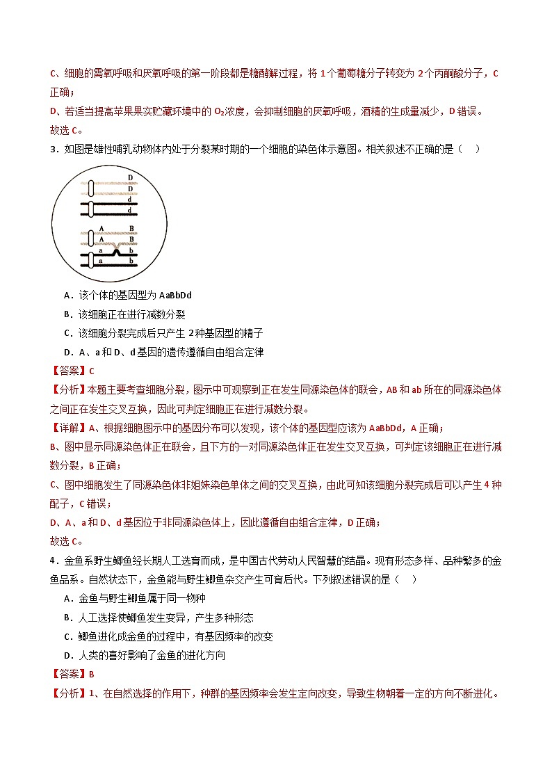 （新教材理综）-【赢在高考·黄金8卷】备战2024年高考生物模拟卷（全国卷专用）（解析版）第2页