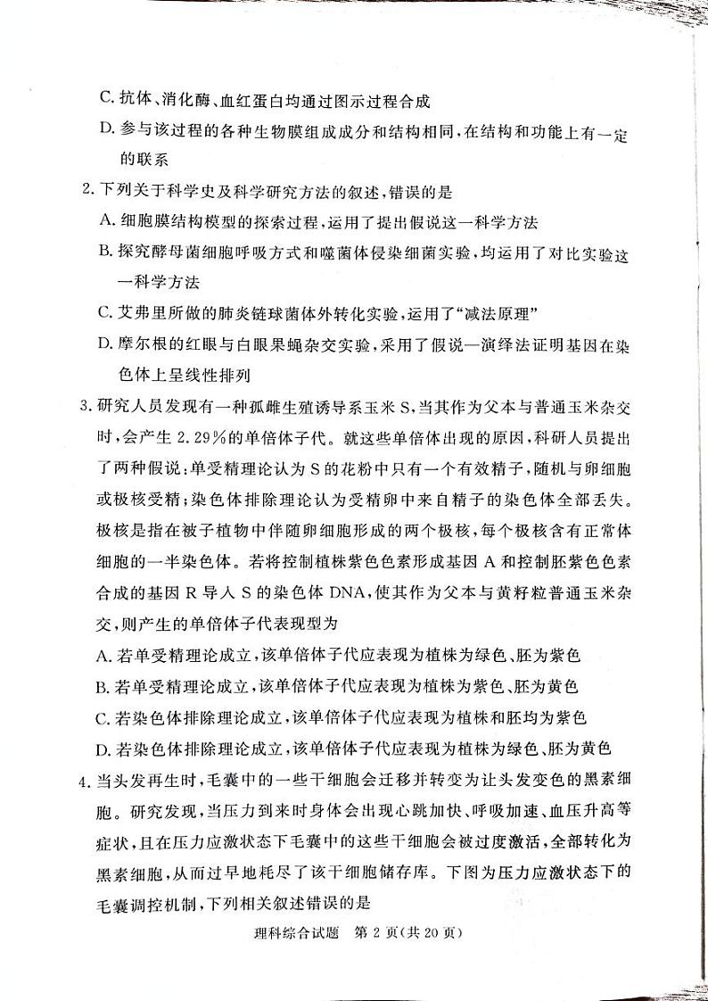 2024届湘豫名校高三5月考前保温卷理综试题第2页