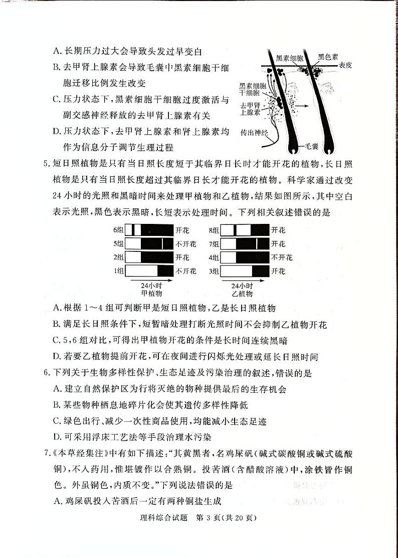 2024届湘豫名校高三5月考前保温卷理综试题第3页