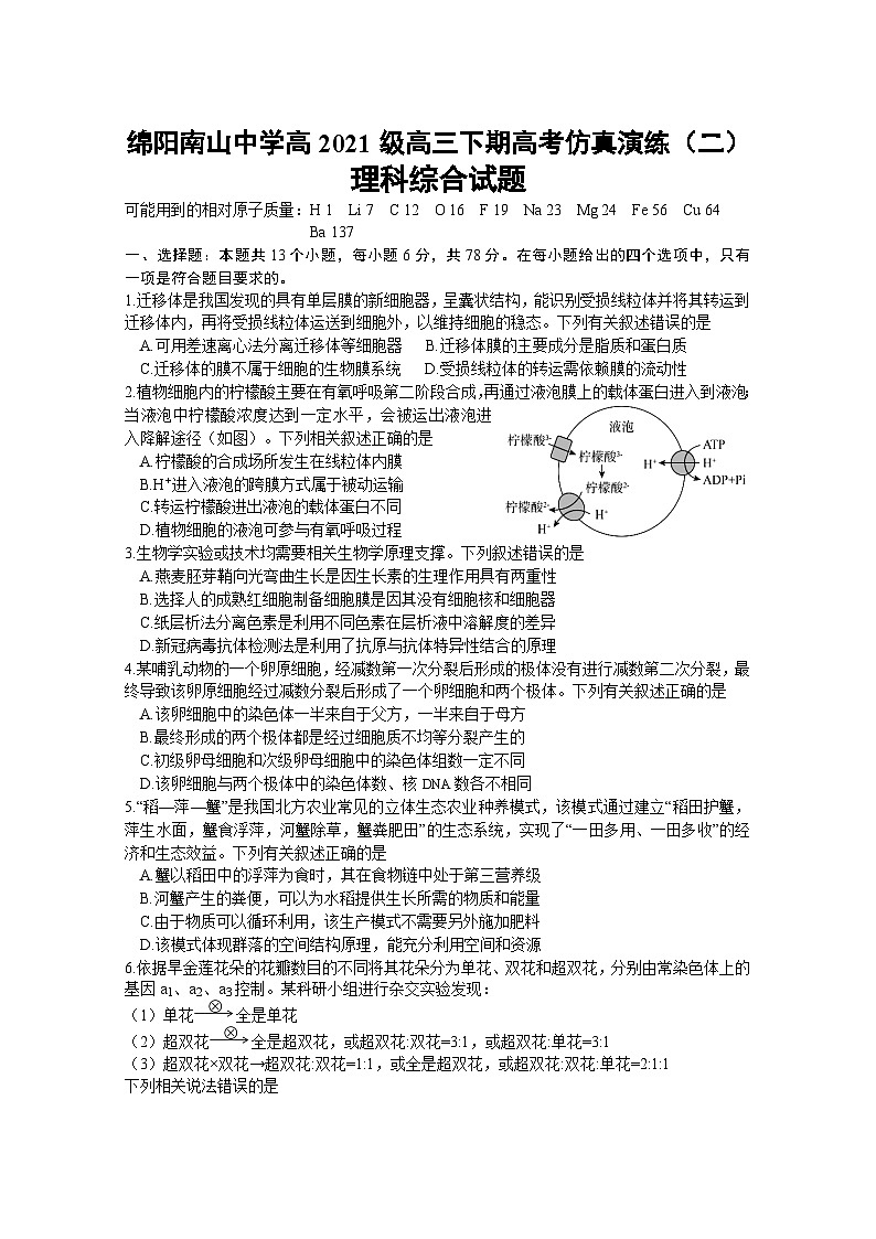四川省绵阳市涪城区南山中学2024届高三下学期模拟预测理综试题01