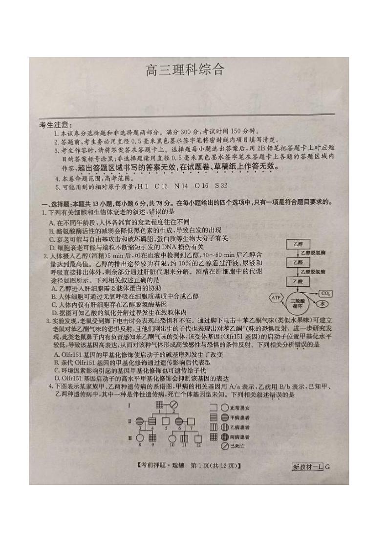 河南省九师联盟2024届高三下学期高考考前押题理综试卷（PDF版附答案）01