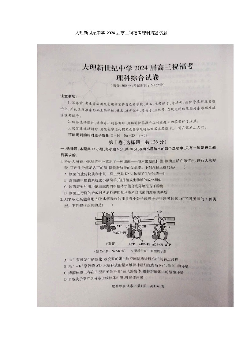 云南省大理新世纪中学2024届高三下学期祝福考理科综合试题01