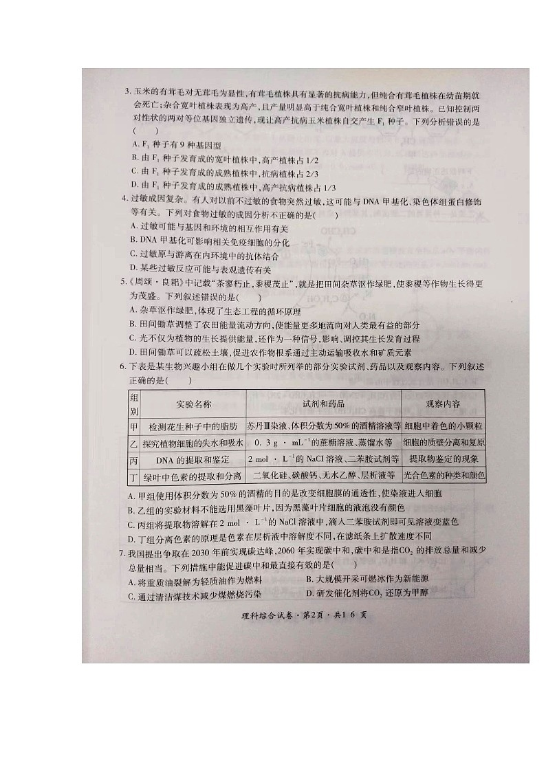 云南省大理新世纪中学2024届高三下学期祝福考理科综合试题02