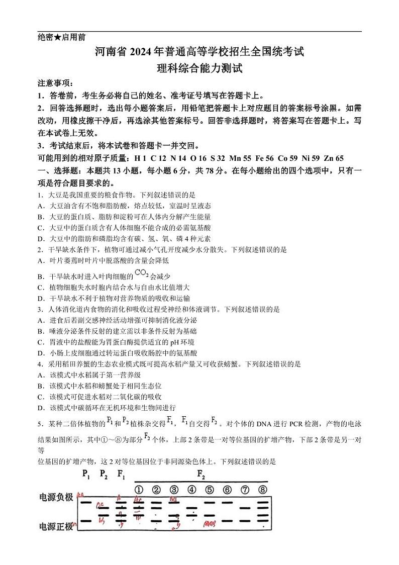 2024年高考真题——理综生物试卷（新课标卷）无答案01