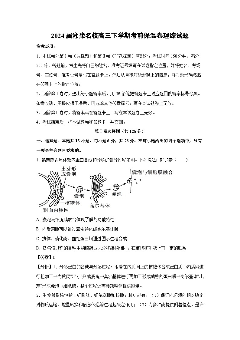 生物：2024届湘豫名校高三下学期考前保温卷理综试题（解析版）第1页