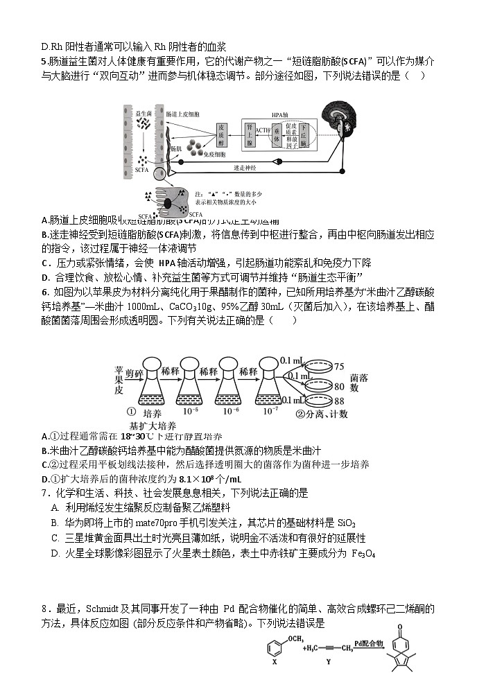 河南省中原名校2024届高三下学期考前全真模拟考试理综试卷（Word版附答案）02
