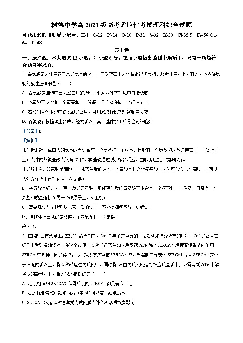 2024届四川省成都市树德中学高三下学期高考适应性考试理科综合试题-高中生物 Word版含解析第1页