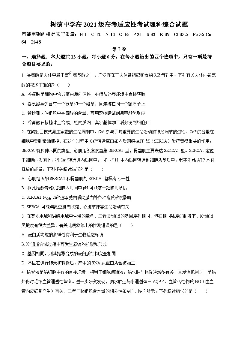 2024届四川省成都市树德中学高三下学期高考适应性考试理科综合试题-高中生物 Word版无答案第1页