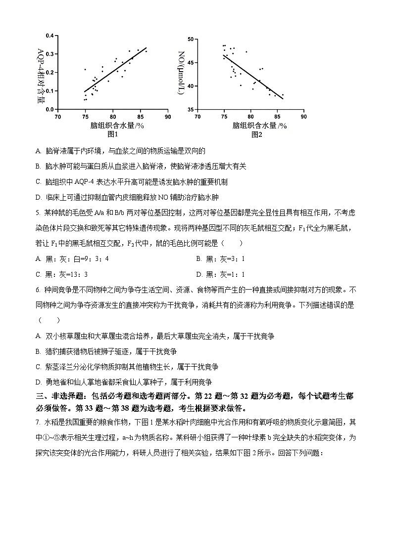 2024届四川省成都市树德中学高三下学期高考适应性考试理科综合试题-高中生物 Word版无答案第2页